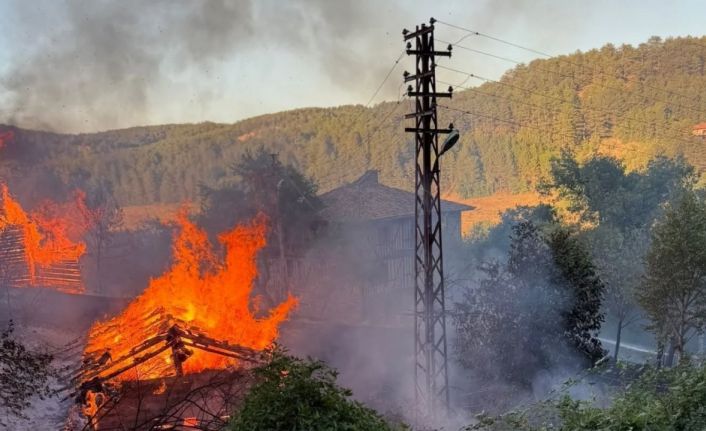 Kastamonu’da alevlere telim olan iki samanlık yandı