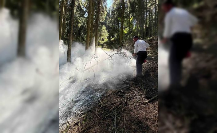 Kastamonu’da çıkan orman yangını büyümeden söndürüldü