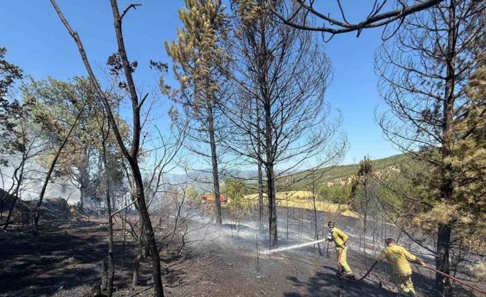 Kastamonu’da ormanlık alanda çıkan yangında samanlık, kümes ve baraka kullanılamaz hale geldi