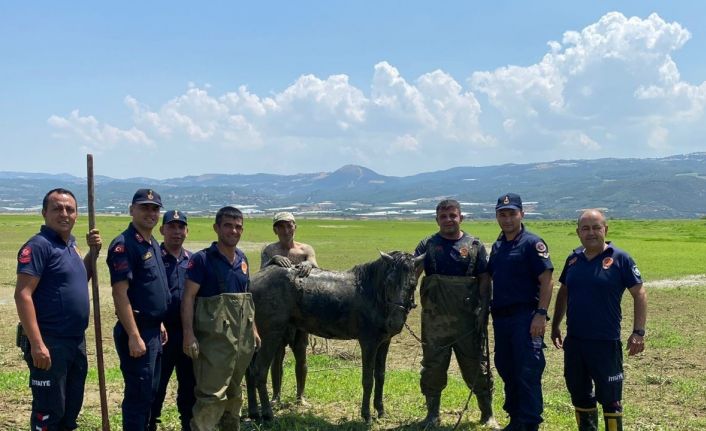 Katırlarını kurtarmak isterken kendisi de battı