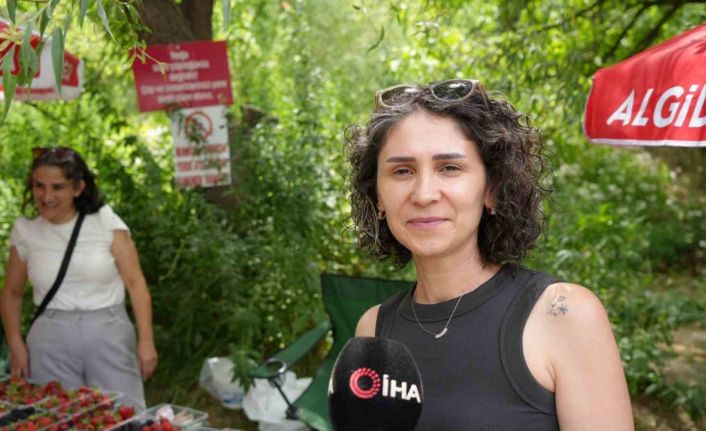 Kavurucu sıcaklarda çilek ve böğürtlen mevsimi