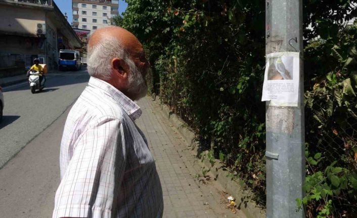 Kayıp papağanı ’Duman’ için yollara düştü