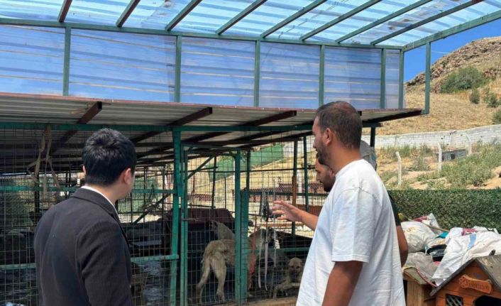 Kaymakam Tutal, Hayvan Barınağı’nda incelemelerde bulundu