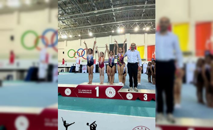 Kayserili jimnastikçilerTürkiye finalinde