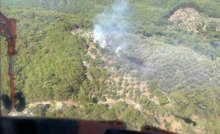 Kazdağları Milli Parkı’nda çıkan yangın kısa sürede söndürüldü