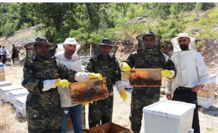 Kemah’ta arıcıların bal hasadı