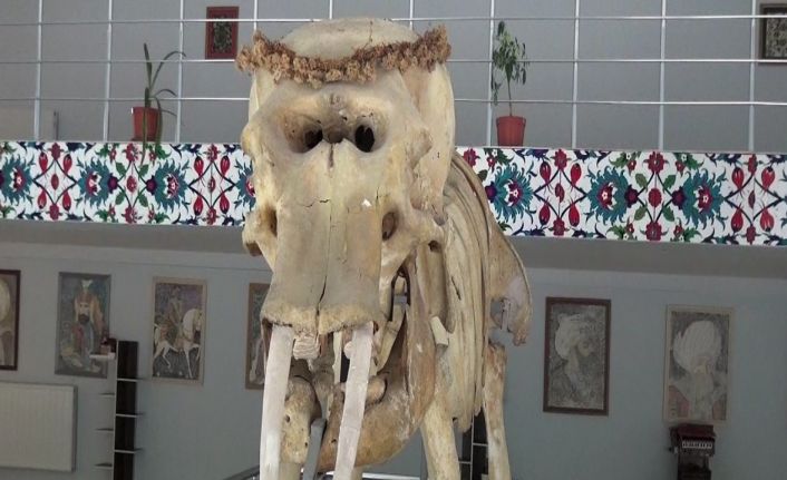 Kemaliye’deki müzede bulunan objeler arşivlendi