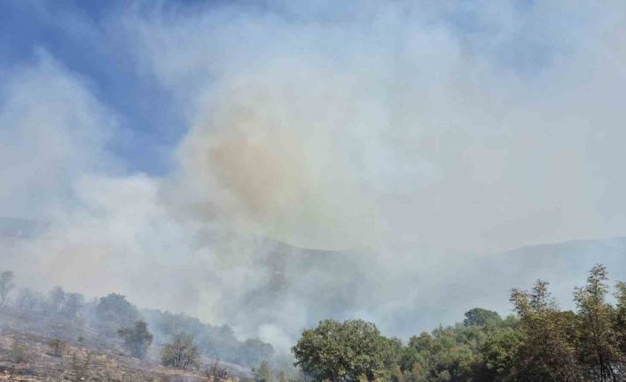 Kepsut’ta orman yangını