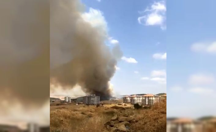 Keşan’da ağaçlık alanda çıkan yangın rüzgarla büyüyor
