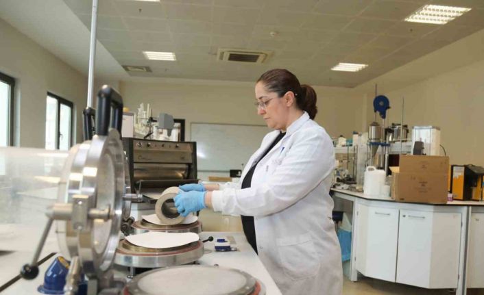 Kâğıt atıkları doğada çözünebilir saksıya dönüşecek