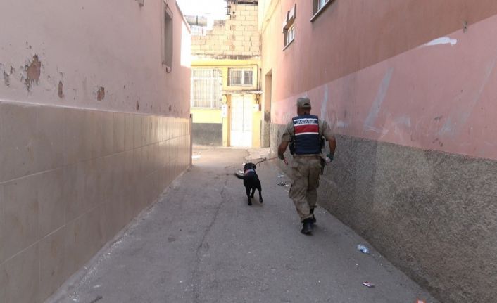 Kilis’te 2 yaşındaki kız çocuğu kayboldu
