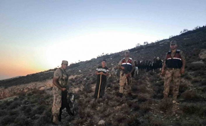 Kilis’te kaybolan 26 küçükbaş hayvan bulundu