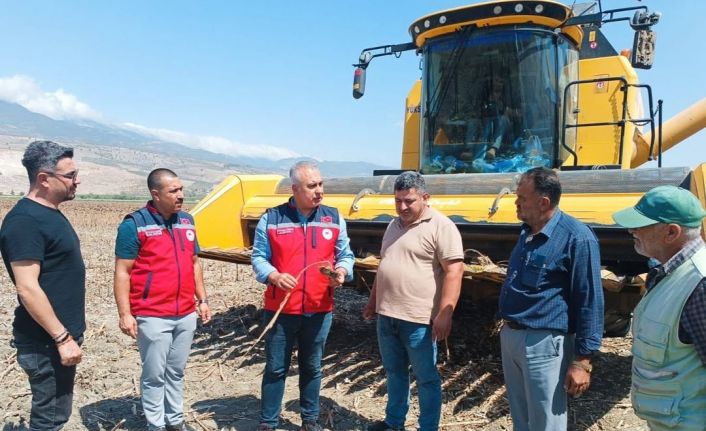 Kırıkhan’da ayçiçeği hasadı başladı