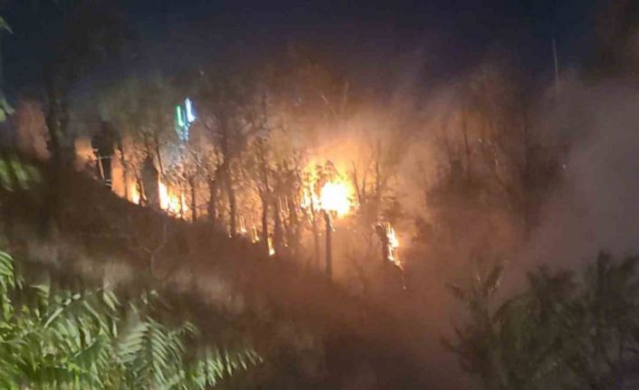 Kırıkkale’de ağaçlık alanda yangın