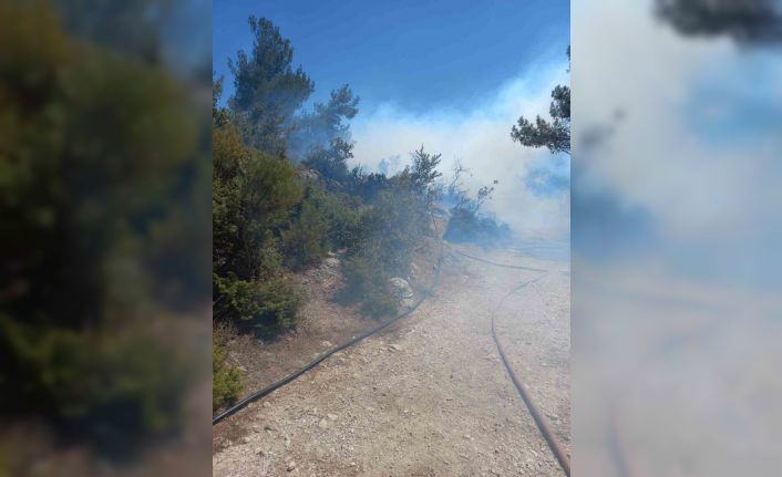 Kırkağaç’ta orman yangını kısa sürede kontrol altına alındı