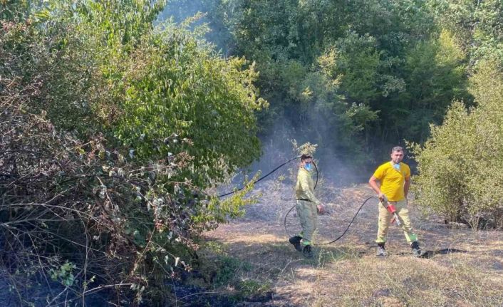 Kırklareli’de orman yangını