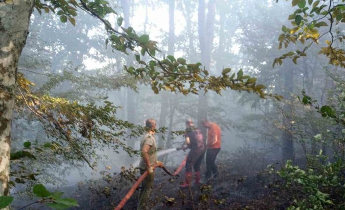Kırklareli’de orman yangını kısa sürede söndürüldü