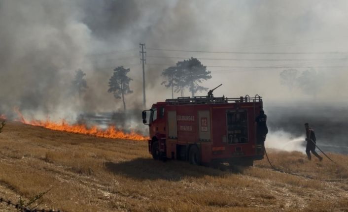 Kırlareli’nde çıkan anız yangında 3 ev zarar gördü