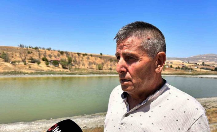 Kızılca Göleti’nde 2’nci yılın acı tablosu: Çürüyen balıklar ve kötü kokan su yatağı