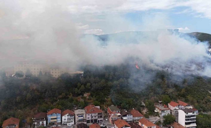 Kocaeli’de ağaçlık alana sıçrayan yangın kontrol altına alındı