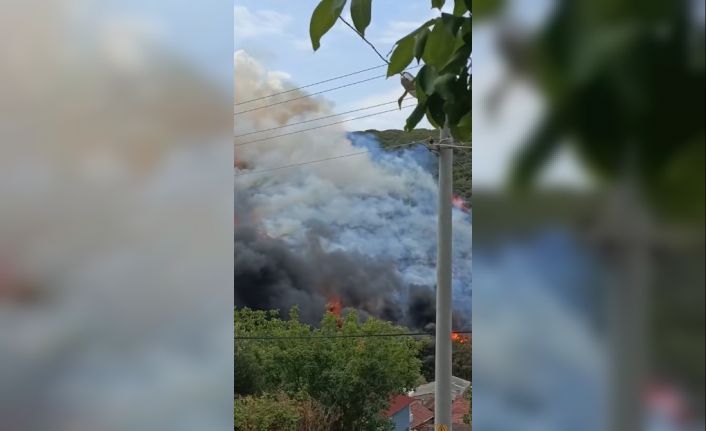 Kocaeli’de ağaçlık alanda yangın çıktı