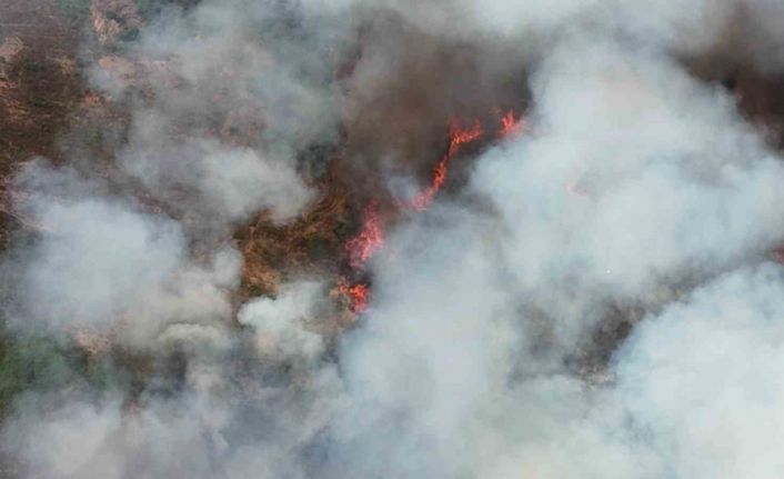 Kocaeli’de orman yangınına havadan ve karadan müdahale: Alevler evlere de sıçradı