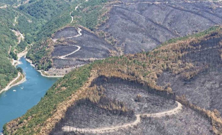 Kocaeli’de yangın sonrası yürek burkan manzara