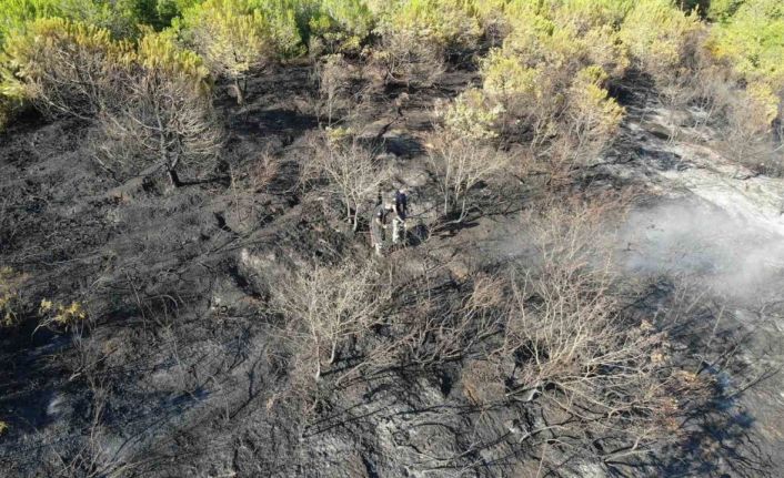Kocaeli’deki orman yangını 1 saatlik müdahaleyle kontrol altına alındı