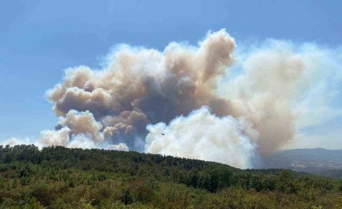 Kocaeli’deki orman yangınına havadan ve karadan müdahale ediliyor
