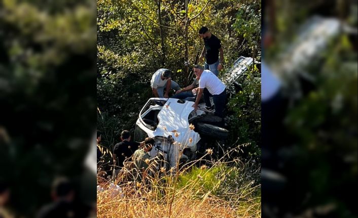 Kontrolden çıkan kamyonet ağaçlık alana uçtu