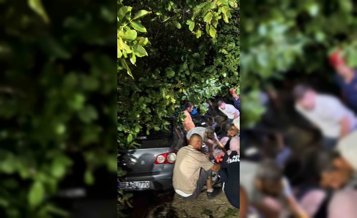 Kontrolden çıkan otomobil, ağaçlık alana girdi: 3 yaralı