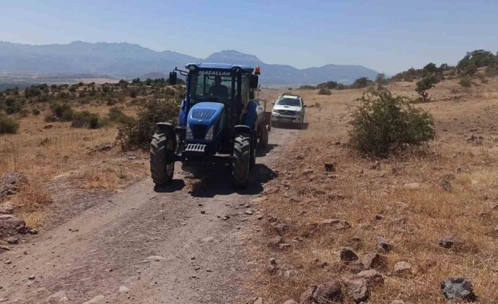 Konya’da ormanlık alanda yangın paniği