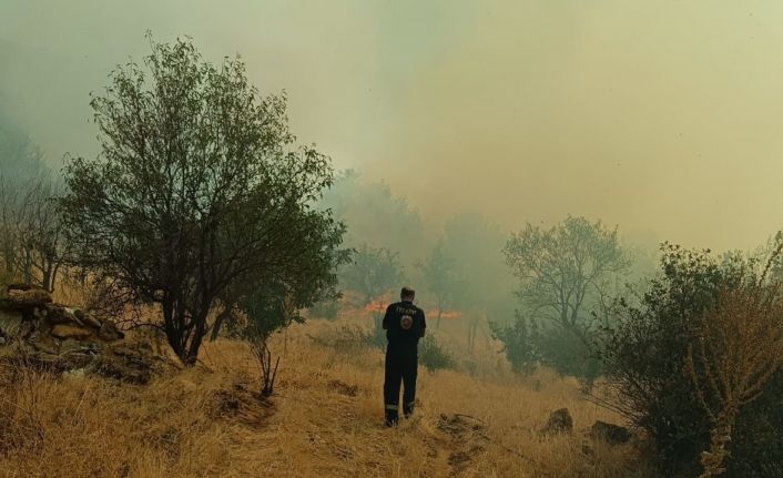 Konya’da otluk alandaki yangın ormana sıçramadan söndürüldü