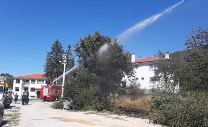 Kopan elektrik telleri yangın çıkarttı