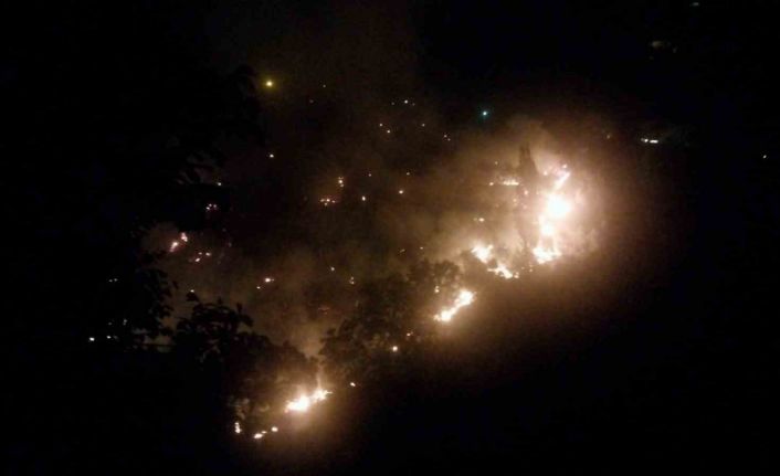 Köşk’te çıkan orman yangınına müdahaleler sürüyor