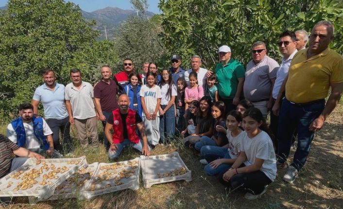 Köşk’te gönüllü hasat şenliği gerçekleştirildi