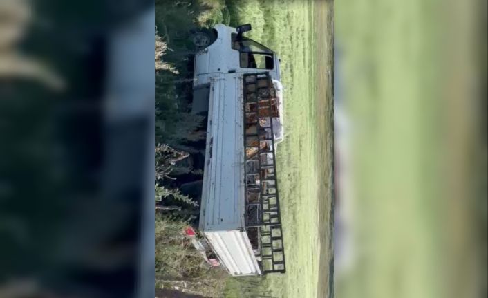 Kovan yüklü kamyonet devrildi, arılar etrafa yayıldı