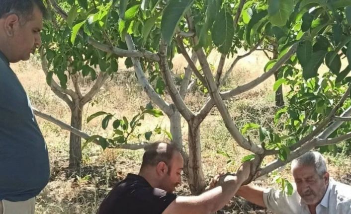 Kovancılar’da çiftçiler bilgilendirdi