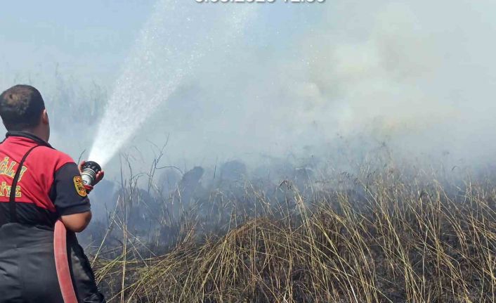 Köyceğiz sazlık yangınında soğutma çalışması yapılıyor
