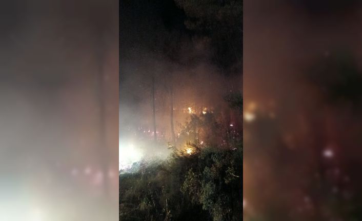 Köyceğiz’de Orman yangını, ekiplerin hızlı müdahalesi ile yangın kontrol altına alındı