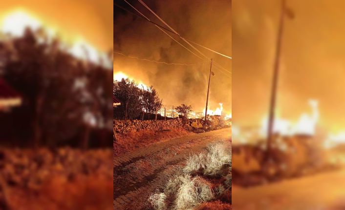 Köyde çıkan yangında 6 ev küle döndü
