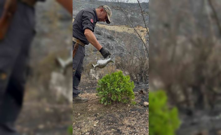 Kül olan topraklara umut ekti