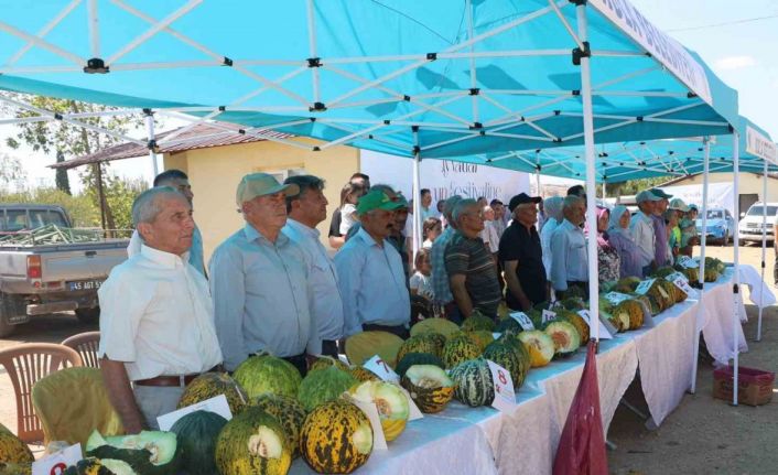 Kula’da ilk kez kavun festivali düzenlendi
