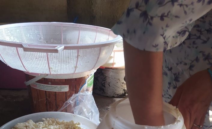 Kuma gömülerek olgunlaştırılan küp peyniri, asırlık lezzetini koruyor