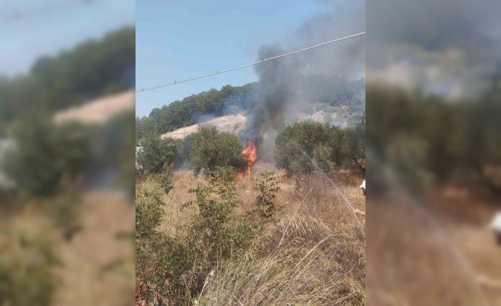 Kumluca’da çıkan yangında bir dönüm zeytinlik alan yandı
