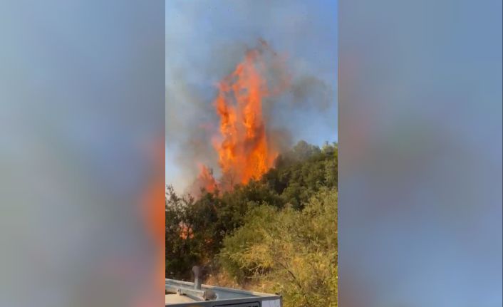 Kumluca’da örtü yangını ormanlık alana sıçramadan söndürüldü