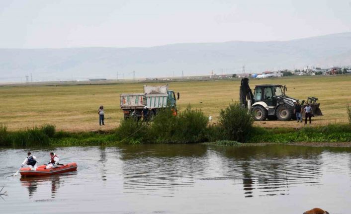 Kura nehrine düşerek boğulan inek can verdi