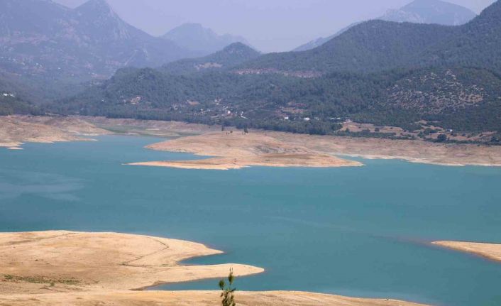 Kuraklık narenciye bahçelerini tehdit etmeye başladı