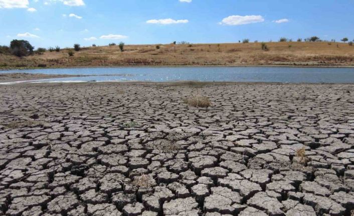 Kuruyan gölette derin çatlaklar oluştu