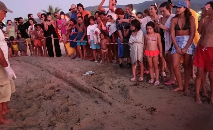 Kuşadası’nda koruma altındaki yuvadan ilk yavrular denize ulaştı